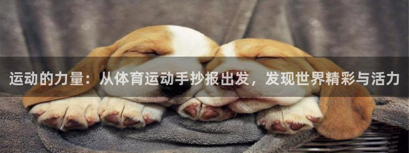 凯发官网下载招商电话号码是多少：运动的力量：从体育运
