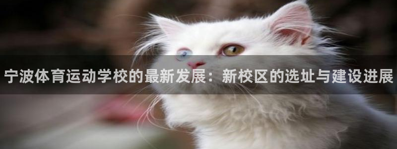 凯发官网下载平台假的吗是真的吗：宁波体育运动学校的最