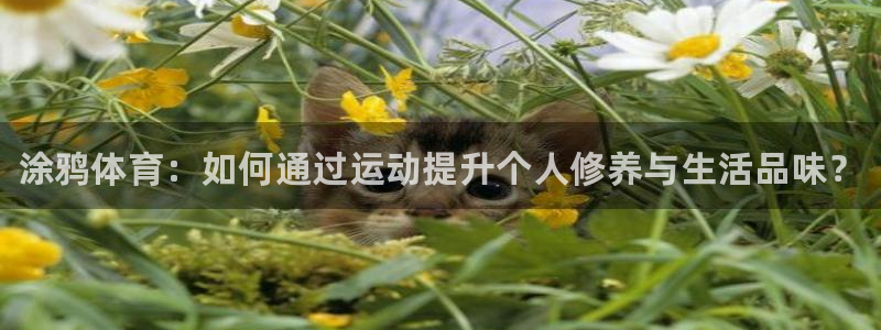 凯发官网下载平台假的吗是真的吗：涂鸦体育：如何通过运
