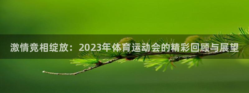凯发官方正版app官网：激情竞相绽放：2023年体育