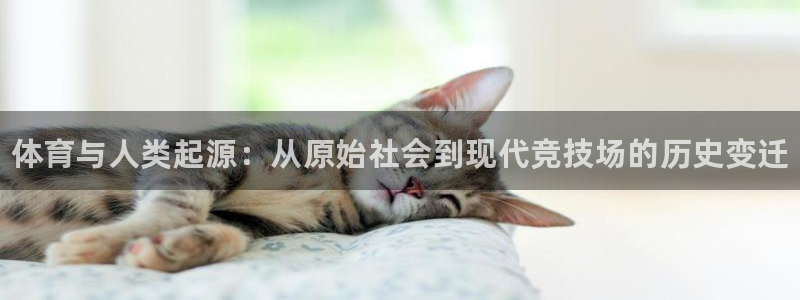凯发官方正版app集团：体育与人类起源：从原始社会到