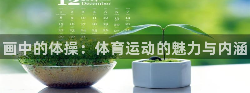 凯发官网下载平台APP：画中的体操：体育运动的魅力与
