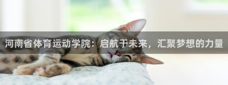 凯发官方正版app集团官网首页网址：河南省体育运动学