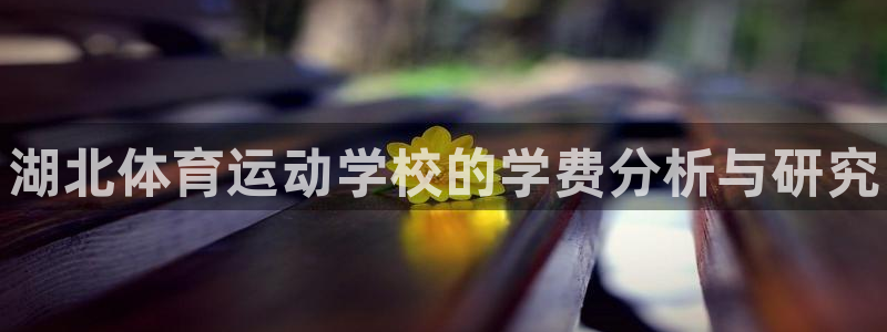 凯发官方正版app代理：湖北体育运动学校的学费分析与