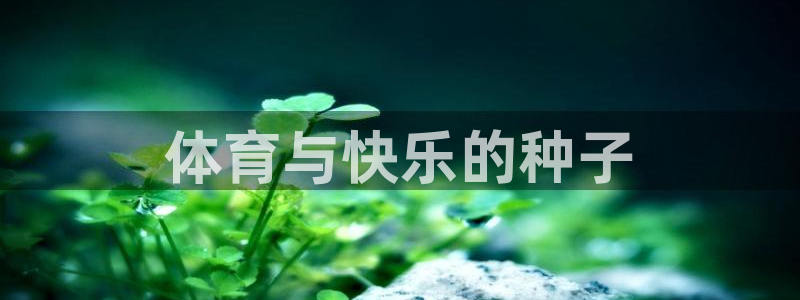 凯发官网下载官方客服电话：体育与快乐的种子
