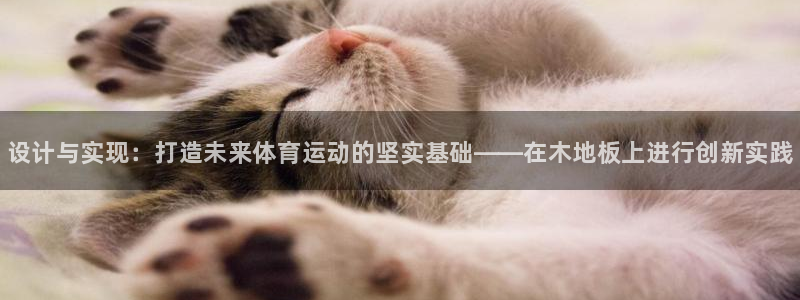 海南凯发官网下载发展怎么样：设计与实现：打造未来体育