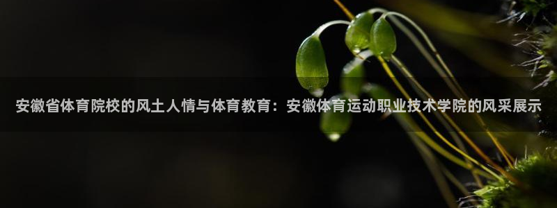 凯发官方正版app神州：安徽省体育院校的风土人情与体