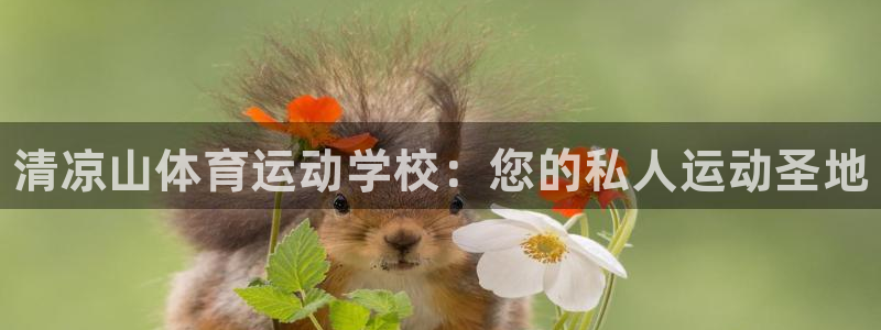 海南凯发官网下载发展怎么样：清凉山体育运动学校：您的
