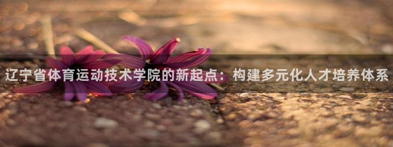 凯发官网下载招商电话地址查询：辽宁省体育运动技术学院