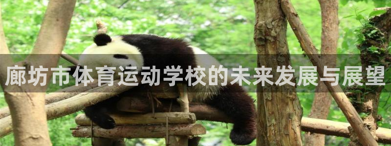 凯发官网下载平台：廊坊市体育运动学校的未来发展与展望