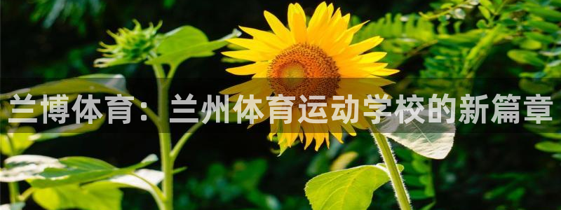 凯发官方正版app科技：兰博体育：兰州体育运动学校的新篇章