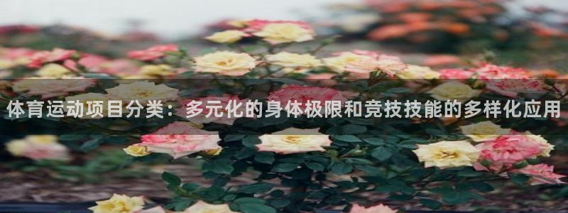 凯发官网下载平台假的吗是真的吗吗：体育运动项目分类：