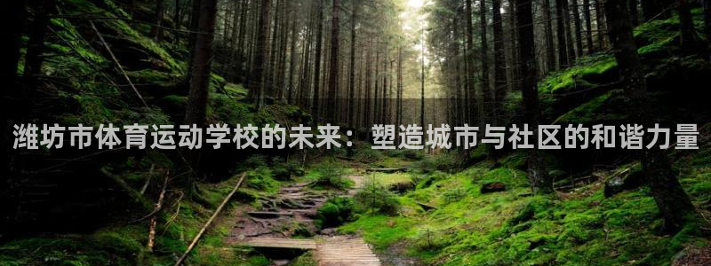 凯发官网下载是干嘛的公司：潍坊市体育运动学校的未来：