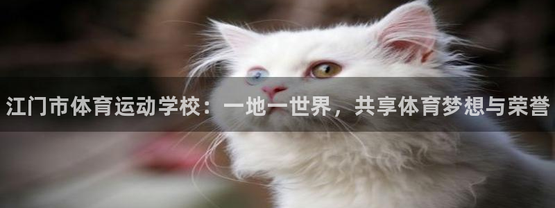 凯发官网下载娱乐：江门市体育运动学校：一地一世界，共享体育梦