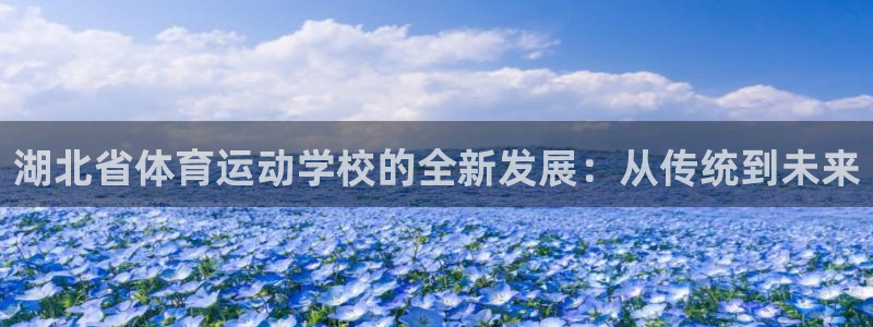 凯发官网下载平台APP：湖北省体育运动学校的全新发展：从传统