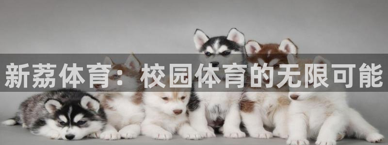 凯发官网下载招商电话号码：新荔体育：校园体育的无限可