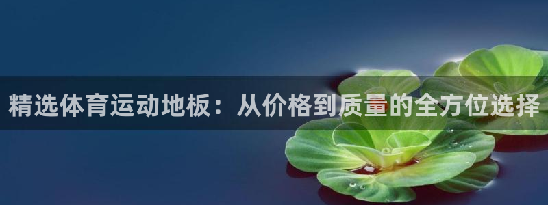 凯发官网下载：精选体育运动地板：从价格到质量的全方位选择