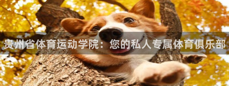 凯发官网下载招商