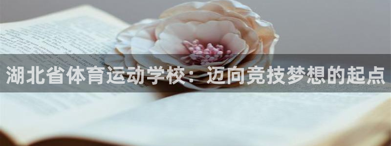 凯发官方正版app娱乐代理怎么样