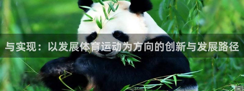 凯发官网下载招商电话地址：与实现：以发展体育运动为方向的创新