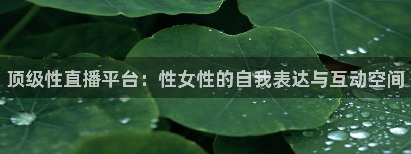 搜球吧8直播：顶级性直播平台：性女性的自我表达与互动空间